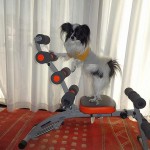 metabo
